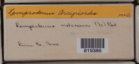 Image Associated With the Occurence